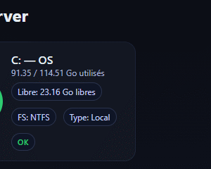 Disk Audit Windows Servers